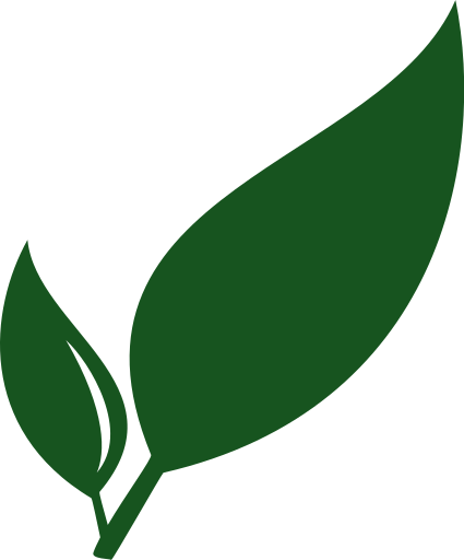 Paperless Logo